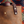 Heritage Tote - Limited Run