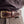 SOFsearch X Nicks Appaloosa Gunslinger Belt