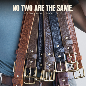 American Bison Belt